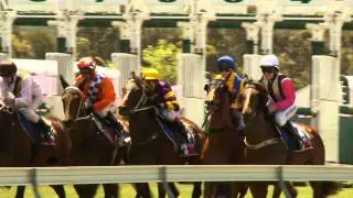 Dunkeld Races
