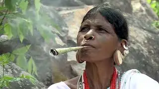 The Lanjia Saora, a tribal community of Southern Odisha (Hindi)