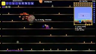 Terraria S.D.M.G v.s. The eye of cuthulu