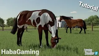 Ló gondozás /Farming Simulator 22