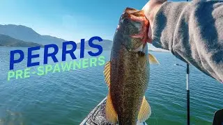 LAKE PERRIS pre-spawn Kayak Bass Fishing