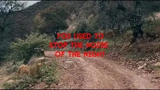 the noise of the night - The Argh!