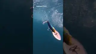 Test RaPaLa CD-9