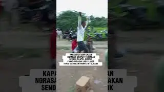 MERPATI JUARA