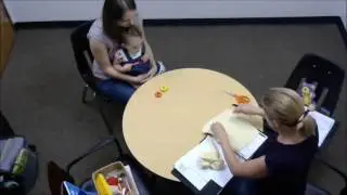 Bayley example: Object Permanence