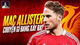 GIẢI THÍCH SỰ SA SÚT CỦA NHÀ VÔ ĐỊCH THẾ GIỚI MAC ALLISTER