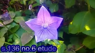 s.136 no.6 etude