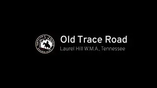 SHORT - Old Trace Road - Tennessee |  Drive America's Highways 🚙