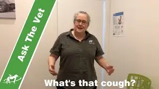 coughing dogs and cats- what is that cough? Companion Animal Vets