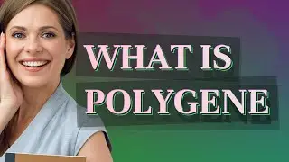 Polygene | meaning of Polygene