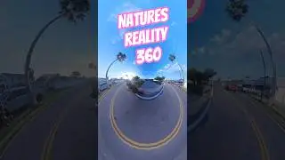 Cruise Into The Sun 360 Style #nature #bike  #youtube #youtubeshorts