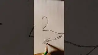 2 Number Easy Duck Drawing #handmade #drowning #duck #easy #shorts #trending #1million