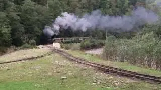 Chemin de fer forestier à Viseu de Sus (Roumanie)