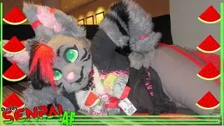 CUTE FURSUITER ON THE RISE!! | Daddy Senpai AF!!