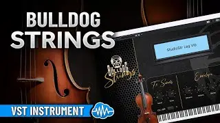 BULLDOG STRINGS | VST INSTRUMENT | SOUND BANK