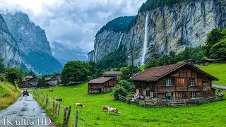 Beautiful Spring Scenery 4K Ultra HD & Relaxing Music for Inner Peace