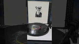 Sonando Vinylos Pet Shop Boys 