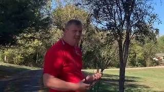 The Best Way To Install Christmas Lights On A 30’ Tree 🌲 From Ground!