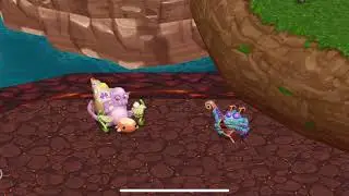 Bowgart + Shellbeat duet (Continent) (dof)