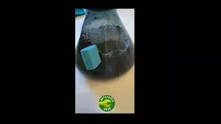 limpiador glass scrubber