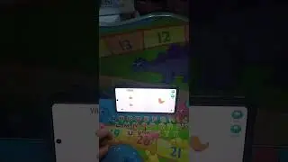ORANGE  BIRD HEY CLAY 