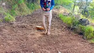 Planting Garlic for HUGE Spring Harvest! (Fall/Winter Planting Guide)