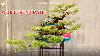 A Different Path of Vietnamese Bonsai in the Flow of Global Integration