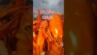 Of Alien Origin