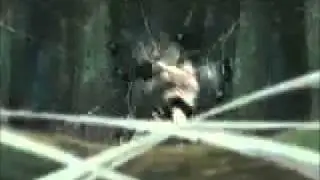 Neji Hyuga AMV