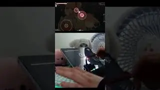 TAPX MAXIMUM AREA LIVEPLAY #osugame #gaming #osu