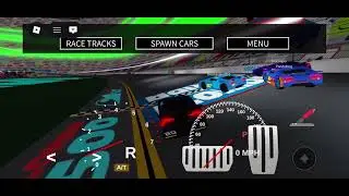 Cars 3 Florida 500!