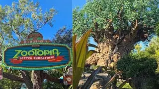 New Zootopia show/ Better Zoo together/ Animal Kingdom 