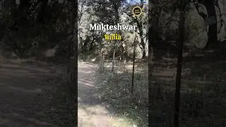 Somewhere near Mukteshwar!