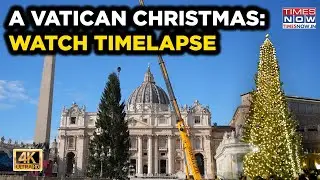 Vatican Christmas: Watch 27-Meter Tree's Raising For 'American' Pope Leo's 1st Festival | Timelapse