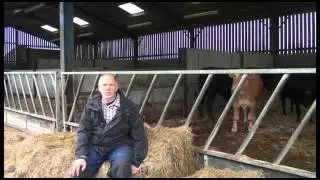 Healthy Livestock Focus Farmer: David Reed - Herringston Estate