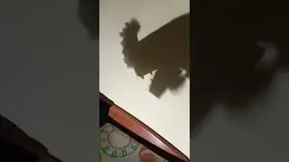 I put glow in the dark paint on my paper dragon pupet! its pretty cool but you can see it that well