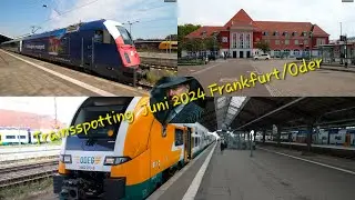 Best of #Trainspotting #Juni 2024 in #Frankfurt/Oder #BR463, #EU44-003, #DR243