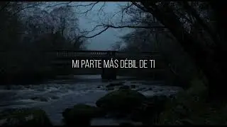 interpol - the new (peel session - sub. español)