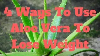 4 Ways To Use Aloe Vera To Lose Weight