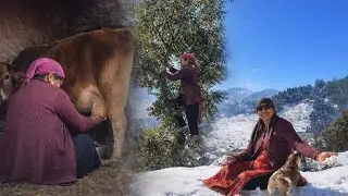 Life in a Snowy Mountain Village | Real Life Far From the City