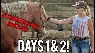 Extreme Mustang Makeover | Days 1-2 | Name Reveal!