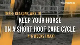 3 Reasons WHY: A SHORT HOOF CARE CYCLE