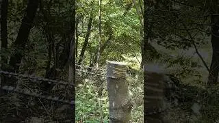 Pocket Chainsaw Demo - Does it Work? Wood sawing #work #asmr #LifeHack #satisfying