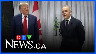 &lsquo;Real negotiation&rsquo; between U.S. and Canada will be about CUSMA, not tariffs: former ambassador