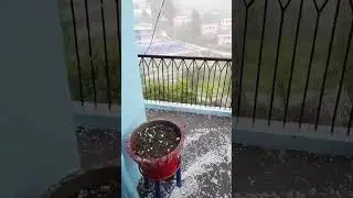 #heavy hailstorm in champawat 2June 2023