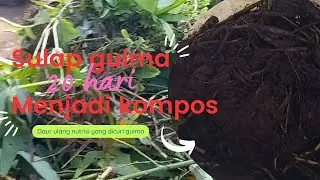 cara membuat kompos dari gulma #kompos