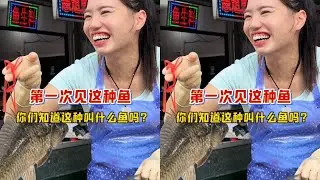 第一次见这种鱼，你们知道这种叫什么鱼吗？