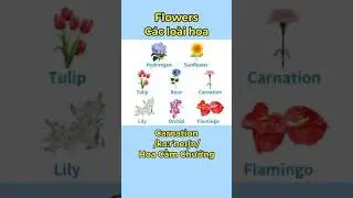 T&Ecirc;N GỌI CỦA C&Aacute;C LO&Agrave;I HOA TRONG TIẾNG ANH | U-Dictionary #shorts