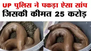 Red sand boa snake Price in India। Balrampur Police catch Red Sand Boa Snake। SP Hemant Kutiyal।