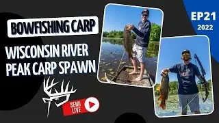 BOWFISHING CARP Wisconsin River PEAK SPAWN
